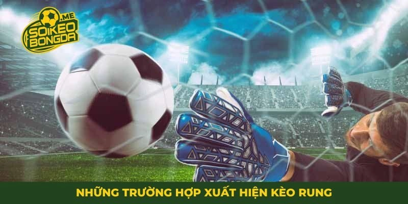 Những trường hợp xuất hiện kèo rung