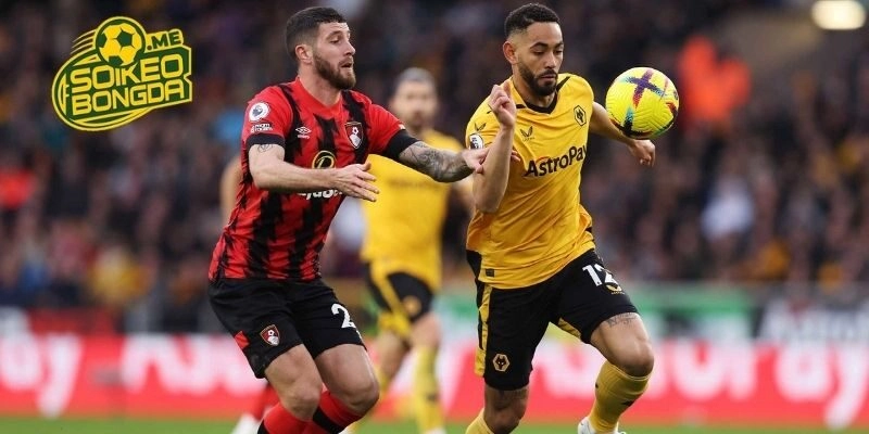 Lịch sử chạm trán của Wolves vs Bournemouth